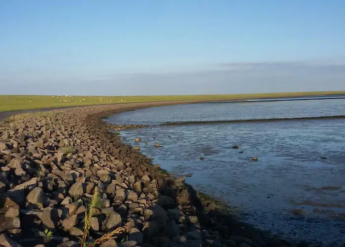Goden Wind 20
